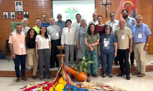 Programa Universitário Amazônico1